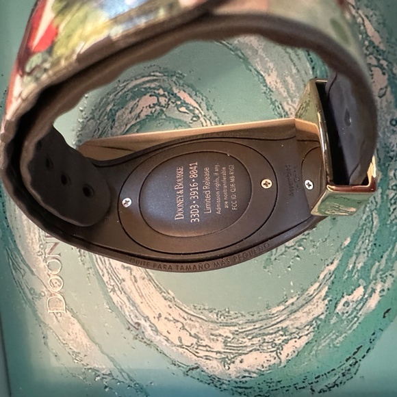 Disneyland Band - Picture 6 of 7